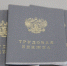 На омские предприятия трудоустроились более 400 ветеранов СВО и членов их семей - Вечерний Омск