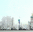 Омская область впервые вошла в число регионов-лидеров страны по работе с молодежью - ГТРК Иртыш