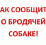 Осторожно, собаки! - ТОС Омска