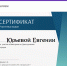 День единения народов России и Беларуси. - ТОС Омска