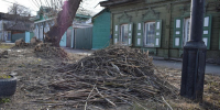 Омичам напомнили: растительные отходы нельзя складировать на площадках для ТКО - Om1.Ru
