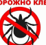 Осторожно клещ. - ТОС Омска