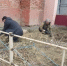 Месячник чистоты стартовал - ТОС Омска