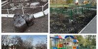Приводим территорию в порядок - ТОС Омска