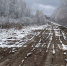 снег в Тарском районе - РИА Омск-информ