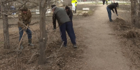 В Омске у СКК имени Блинова благоустроят сквер - 12 канал