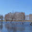 По данным МЧС, все дома в Омской области освободились от воды - ИА Новый Омск