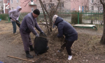 Уже несколько тысяч омичей присоединились к генеральной уборке в регионе