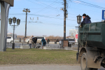 В Омске проходит общегородской субботник