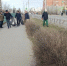 Сотрудники АО «Тепловая компания» приняли участие в общегородском субботнике. - Администрация города