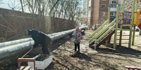 Всем участникам субботника говорим «СПАСИБО»! - ТОС Омска