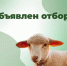 Министерство сельского хозяйства, пищевой и перерабатывающей промышленности Омской области проводит отбор по предоставлению гранта «Агромотиватор» - МинСельхоз