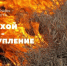 Росгвардия напоминает о мерах пожарной безопасности в весенне-летний период - Росгвардия