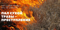 Росгвардия напоминает о мерах пожарной безопасности в весенне-летний период - Росгвардия