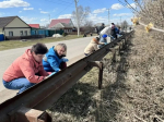 Более 100 тысяч жителей Омской области приняли участие во Всероссийском субботнике