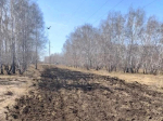 Мэр Омска сообщил о создании более 10 километров противопожарных полос.