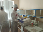 Бинарное открытое занятие Добрициной Н.А., Скобелевой Е.Н.
