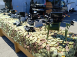 Омских призывников торжественно проводили на военную службу в армию