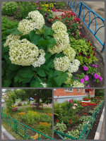 Collage_20260714_192055648.jpg