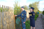Право на тишину: побудили владелицу 30 собак  исполнить решение суда