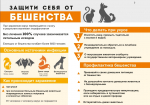 Памятка владельцам животных об ответственности по вакцинации против бешенства