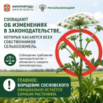 Борщевик Сосновского — ответственность правообладателей земельных участков