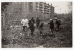 Ретросубботники в Омске. Субботник на станции юннатов, 1970-е гг. Фото: Омский музей просвещения, goskatalog.ru